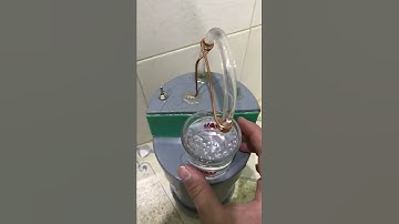 Máy Rót Rượu Tự Động - Thông Minh