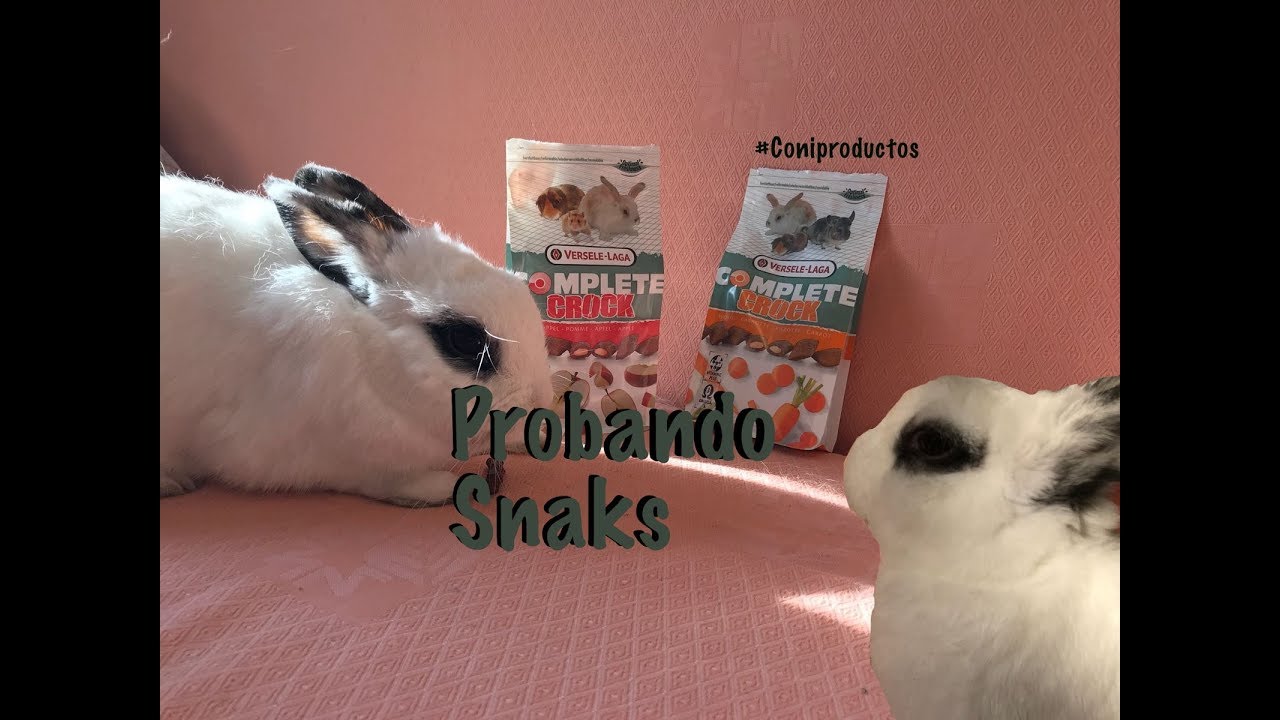 CONIproductos - Versele--Laga |Mundoconejil