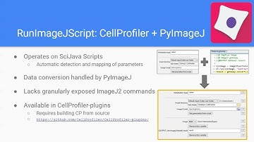 ImageJ 2022 - A Year in Review and Future Directions