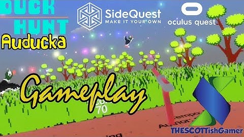 Duck Hunt Auducka Gameplay On The Oculus Quest