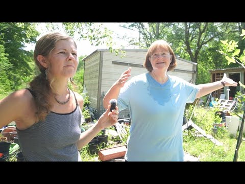 First Year One Acre Food Forest Garden Tour! (North West) Florida