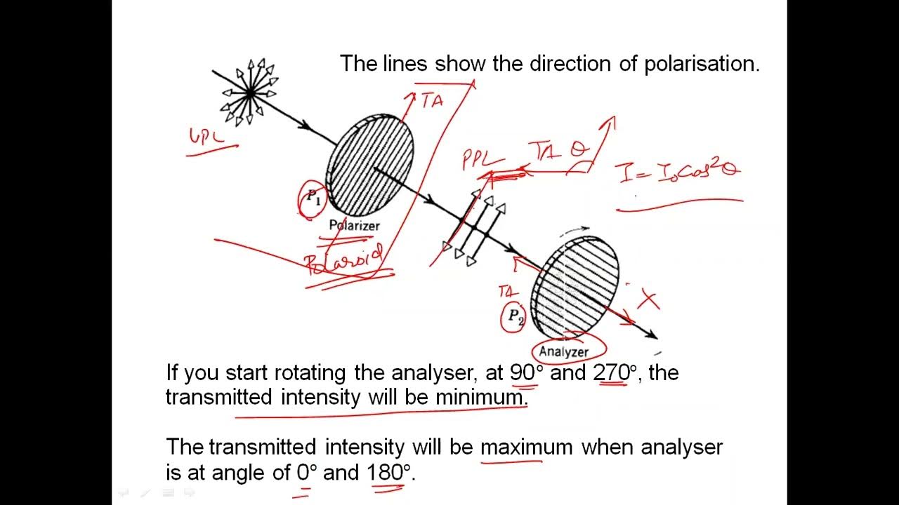 Polaroid; Plane polarized light (PPL) by Reflection; Brewster's Law