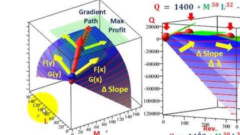 Linear Programming (Lagrange Multipliers, Shadow Prices, Gradients, Input Vs Output Costs, Visuals)