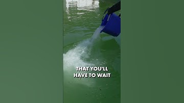 Which POOL SHOCK to Use? Chlorine vs. Non-Chlorine Shock ⚡️