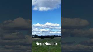 Чернігівщина. Чернігів. Україна. #stopwar #flowers #chernigiv #love #chernihiv #nature #чернігів