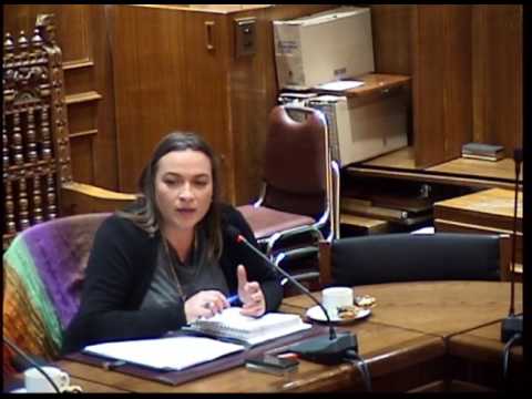 Sesión Ordinaria Nº 21, del 19 de Julio de 2017 consejos sabios