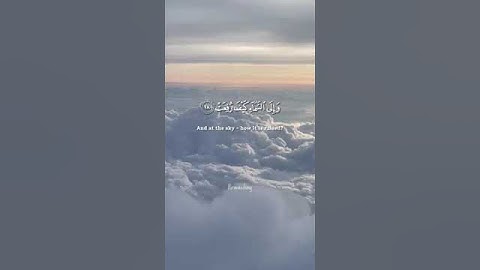 @9li9  القارئ عبدالرحمن مسعد.   قال تعالى: {أَفَلَا يَنظُرُونَ إِلَى الْإِبِلِ كَيْفَ خُلِقَتْ