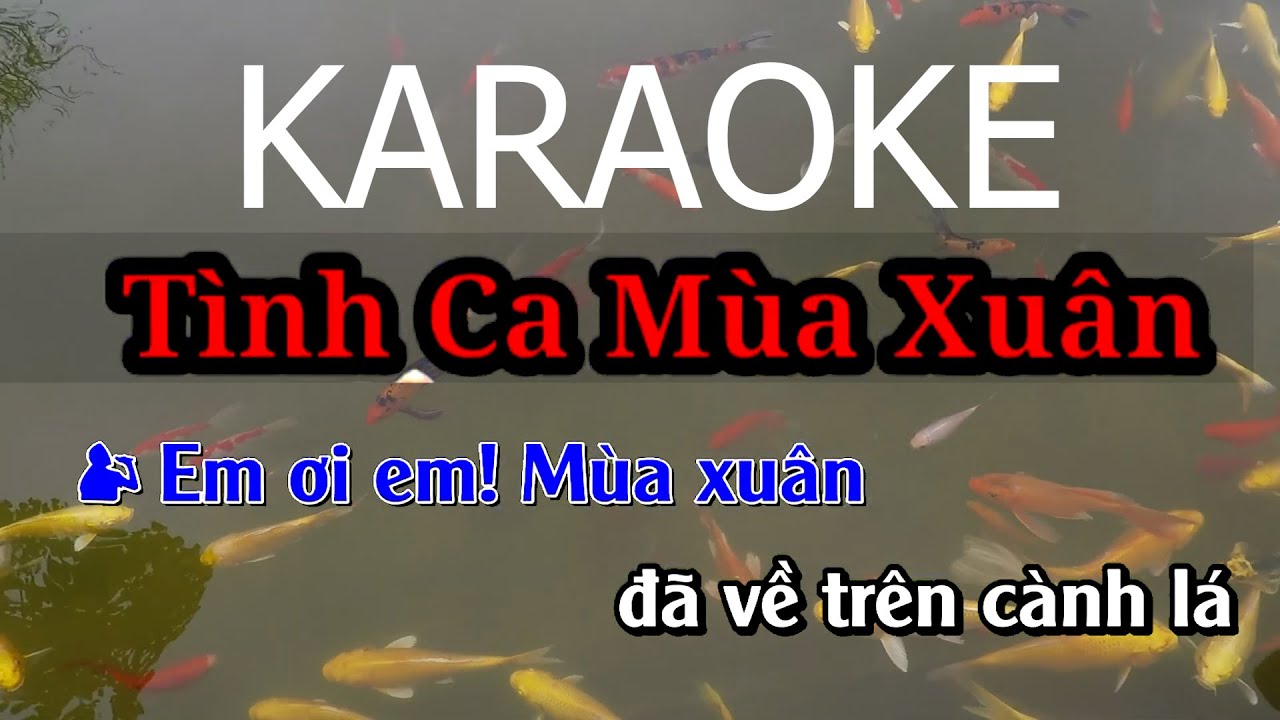 TÌNH CA MÙA XUÂN KARAOKE NHẠC BEAT CHUẨN