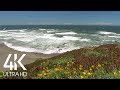 Ocean Waves Sounds - Coastal California Wonders #1 - 4K UHD video - Nature Soundscape