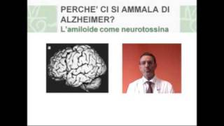Cosa causa la malattia di Alzheimer? Cosa causa la malattia di Alzheimer?