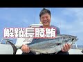 【海釣船釣魚】原來這就是傳說中的長腰鮪本人，第一次釣到這麼大隻的鮪魚，除了爽之外還是爽！