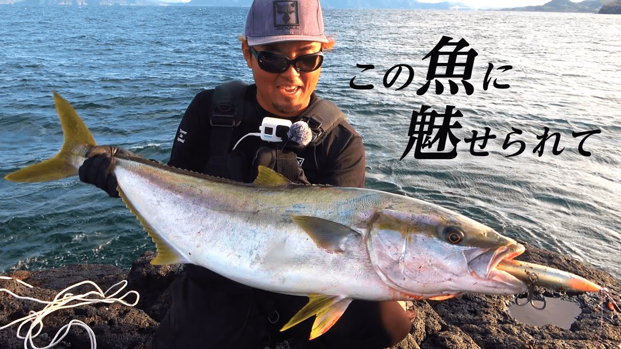 目の前の海が一面ヒラマサに…秋の青物神回まとめ。