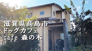 滋賀県高島市 ドッグカフェ Cafe 森の木 Youtube