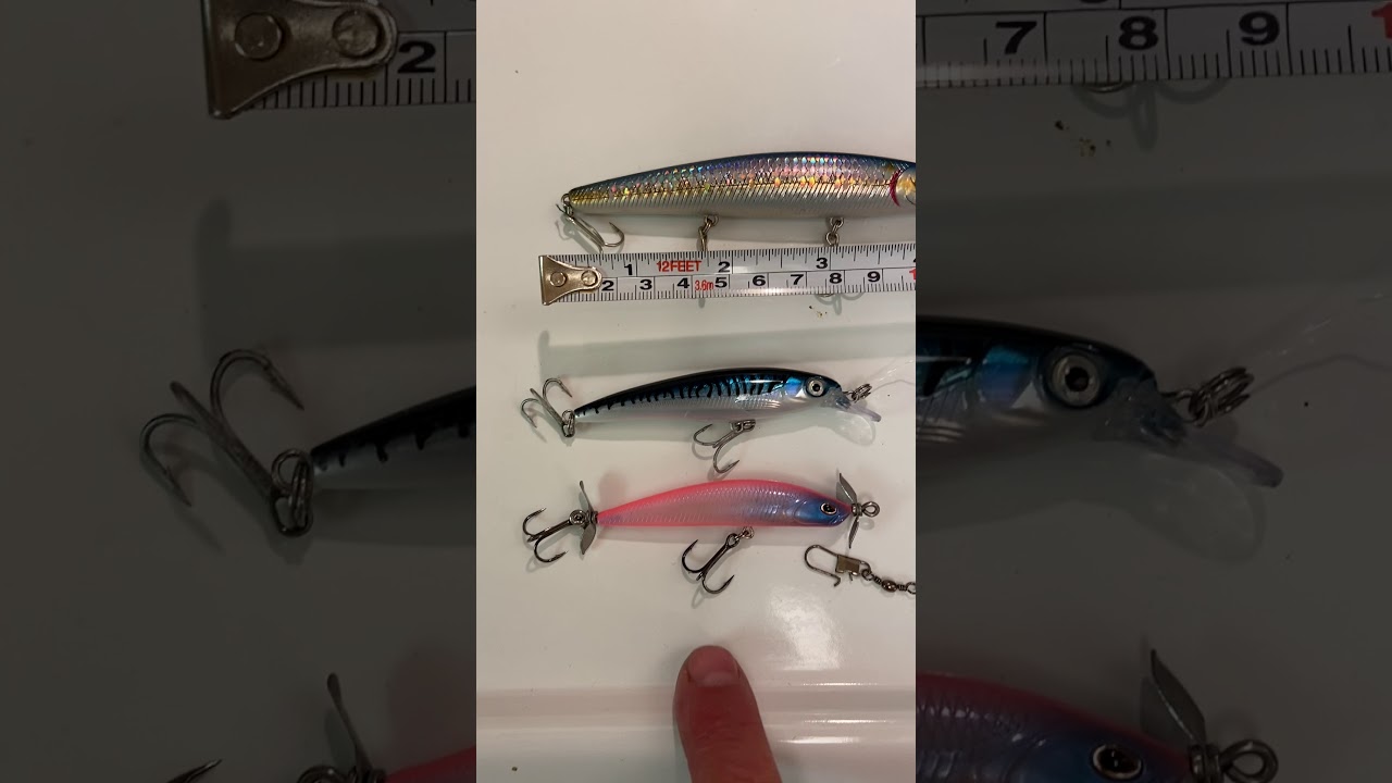 Lure fishing in Good Land Goleta