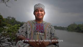 Don Ronor - Ayahuasca Foundation - Plant Medicine