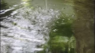 1 jam suara gemericik air jernih dan tenang [no copyright]