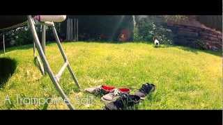 Motion Media | Trampoline Edit 2012