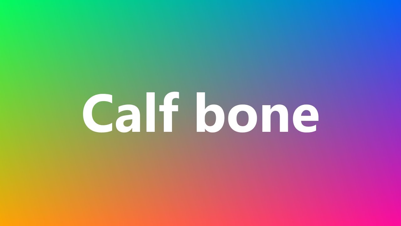 Calf bone Medical Definition and Pronunciation YouTube