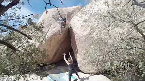 Bittersweet V9