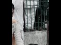 Shershaah full movie 2021//Shershaah love ๐ Shershah Movie YouTube Trending Song | # Short # Short