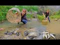 Sow seeds and fertilize corn catch stream fish garden and search for natural food in streams