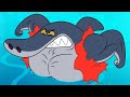Zig & Sharko | SAFETY FIRST (SEASON 3) BEST CARTOON COLLECTION | New Episodes in HD