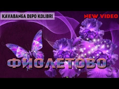 Kavabanga Depo Kolibri - Фиолетово