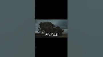 من سورة القيامة 🎧❤️ #ياسر_الدوسري #قرآن #اللهم_صل_وسلم_على_نبينا_محمد #الحمدلله #اكسبلور #quran