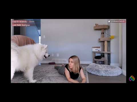 Alinity's dog being wholesome and licking her feet