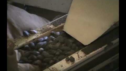 PS-10000 sorting 48% sticktights