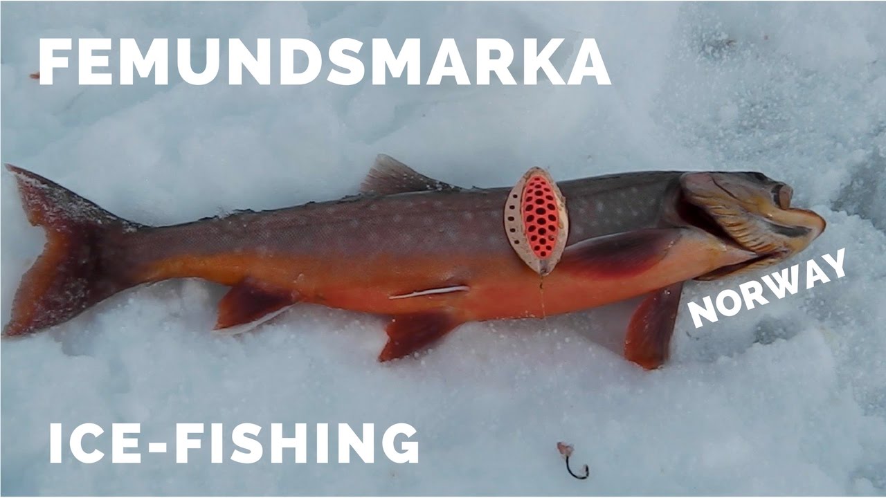 Isfiske etter røye, Femundsmarka #2 - YouTube