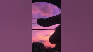 (your name) sparkle // radwimps - guitar fingerstyle cover