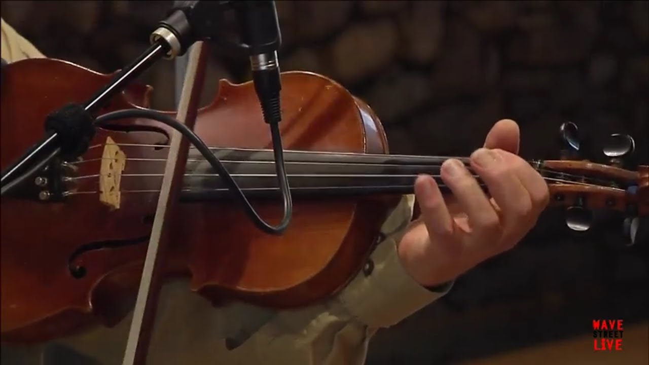 Noon Tunes with David Molk on Wave Street Live - Ep. 7