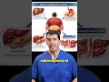 Obesidad: El Hígado Graso es Solo el Principio