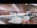 ASTRO Moonbin being Moonbin