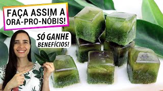 SÓ CONSUMO ORA PRO NÓBIS ASSIM AGORA! DICA PERFEITA PARA GANHAR TEMPO E SAÚDE