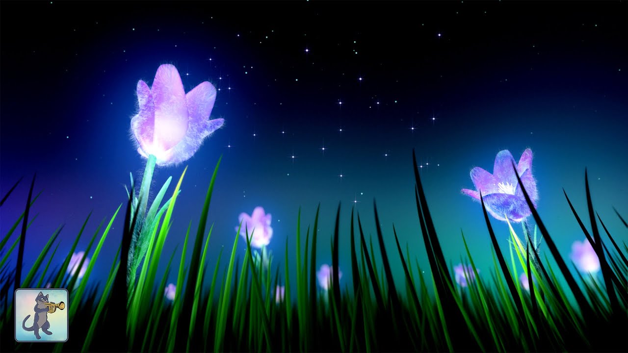 💤🌙 Deep Sleep Music 💤🌙 Meditation Music for Sleep, Study & Stress Relief