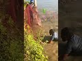 🎣 Fishermen Catching Fish from the Pond
