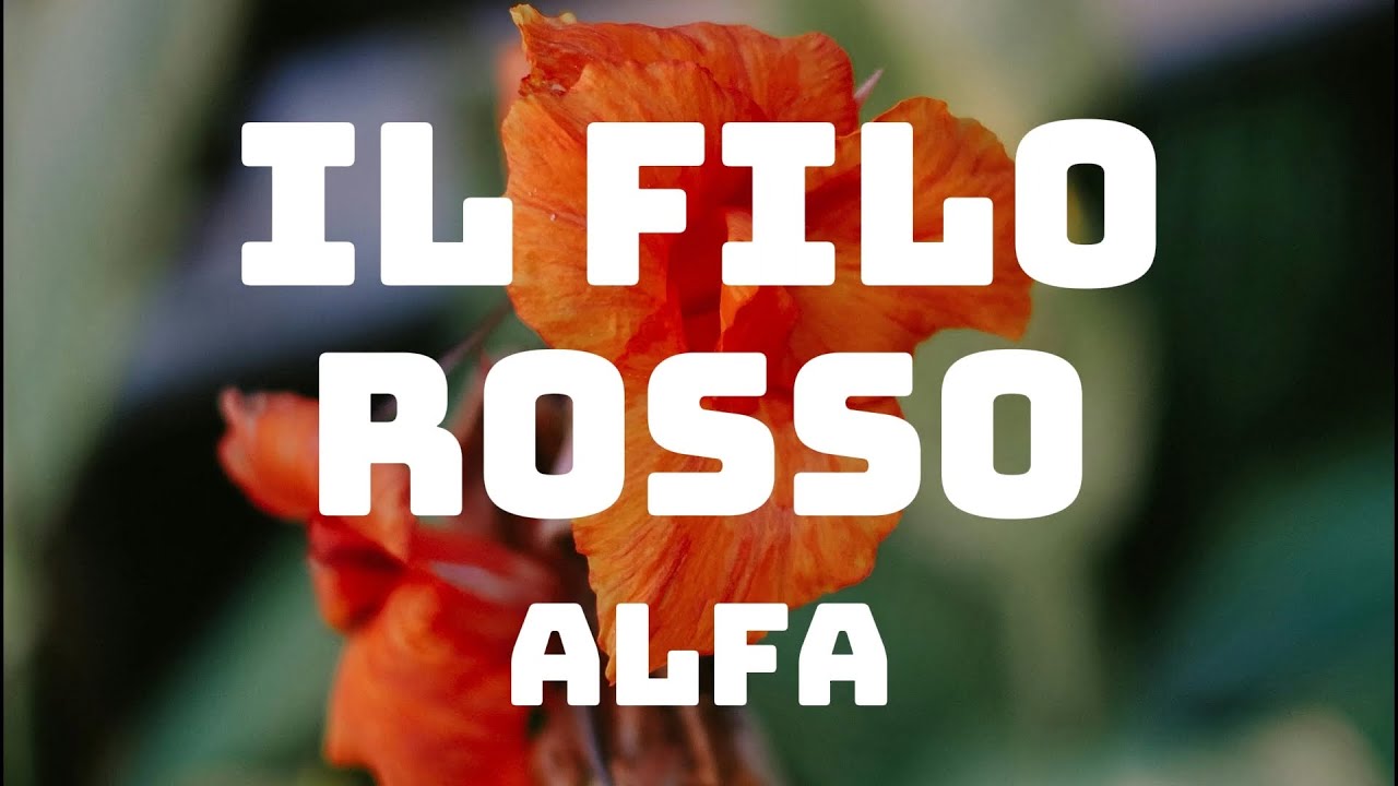 canzone di alfa filo rosso