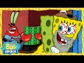 Bob Esponja | O Bob Esponja vira repórter! | Nickelodeon | Bob Esponja em Português