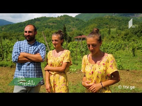 #ფერმის მე-9 სეზონი! აგროტურიზმი რაჭაში - სოფლად დაბრუნებული ტყუპი დების ამბავი