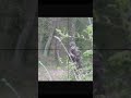 Sniper epic kill military russia ukraine war