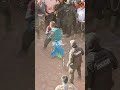 Brutal, guerreros del Tinku de Macha 🇧🇴