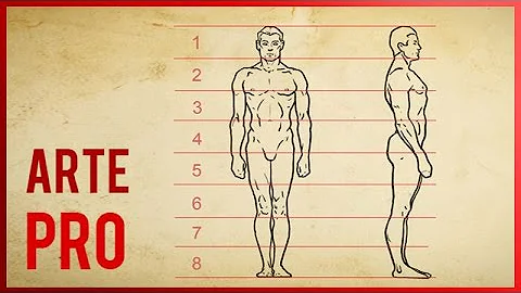 ¿Cuál es la medida normal en canones de una figura humana masculino?