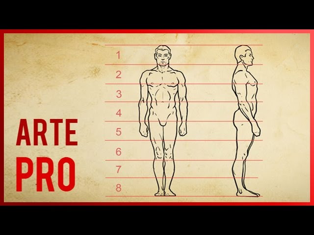 Tutorial sobre cómo dibujar un cuerpo masculino y un cuerpo femenino.