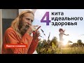 4 кита здоровья для тела, психики и души | Коротко о главном