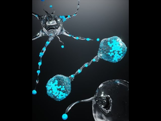 Computational Physics of Active Filaments, Membranes, and Cells