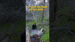 Took us an hour before we even got started. Chainsaw day! #diy #homestead #shorts #shortsviral