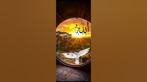 سورة الذاريات وفى الارض آيات للموقنين وفى انفسكم افلا تبصرون