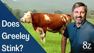 Does Greeley Stink?